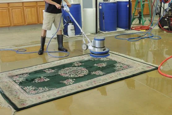 Deep Stain and Odour Removal